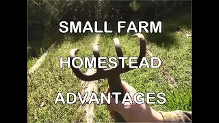 Small Farm Homestead Advantage