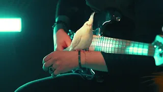 Молчат Дома - Судно - #BassGuitarCover