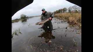 Laksefiskeri Gudenåen med orm. (Atlantic Salmon)