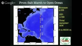 Lauren Seyler: Discerning marine crenarchaeal heterotrophy through stable isotope probing