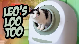 Leo's Loo Too Automatic Self-Cleaning Litter Box Review (We Used It For 3 MONTHS) | Raymond Strazdas