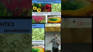 Михаил Никитин | Бактерии с железным фотосинтезом | Зарождение жизни на Земле #наука #shorts