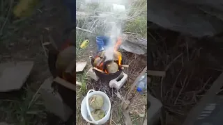 Breadfruit in Barbados