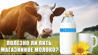 Полезно ли пить магазинное молоко? Из чего состоит молоко в пачках?