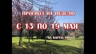 Гороскоп на неделю с 13 по 19 мая 2019 года на картах ТАРО Арканум!