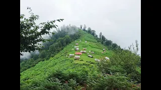 رحلتنا الى كلاردشت في شمال ايران .اليوم الاول.