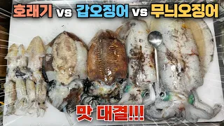 여수 최대 크기 정치망 가장 맛있는 두족류는?? 호래기 vs 무늬오징어 vs 갑오징어