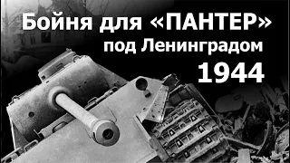 Бойня для "Пантер" под Ленинградом. 1944 г.