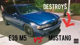 E39 M5 vs Mustang GT
