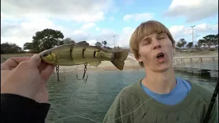 Fishing With the "Swimbait Kid" for Giant Bites