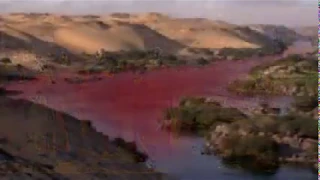 Breaking news  reports of rivers turning blood red in different countries 😳are end times near?