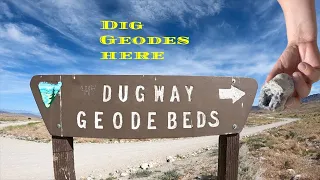 Where to dig for Geodes / The Dugway Geode Beds Utah / rockhounding / wild geodes / desert adventure