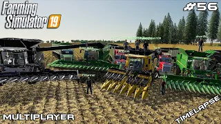 1.000.000$ corn harvest | Millennial Farms | Multiplayer Farming Simulator 19 | Episode 56