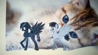 Пони креатор клип "Чёрная кошка"