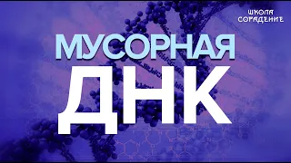 Мусорная ДНК  #мусорнаяДНК #ДНК #Гарат #школаCорадение