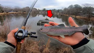 Fishing For GIANT BASS With HUGE SWIMBAITS! (Pond Fishing)