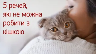 5 речей, які не можна робити з кішкою 5 things you can't do with a cat