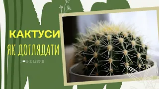 КАКТУСИ як доглядати 🌵 Коли пересаджувати КАКТУС🌵