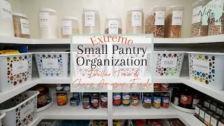 Extreme Small Pantry Organization Dollar Tree | Amazon | Small Pantry Makeover On A Budget EP. 2