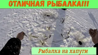 И СНОВА УДАЧА!!! Супер рыбалка на хапуги!!! Отличный улов!!!