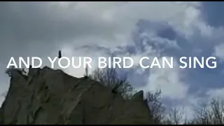 And your bird can sing - cover