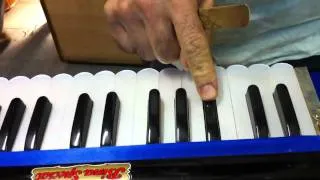 How to fix a buzzing reed in a BINA harmonium