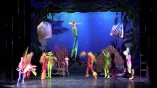 Under the Sea- The Golden Mickeys