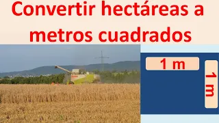 Convertir hectareas a metros cuadrados