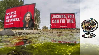 Nitrogen pollution destroying NZ clean green image