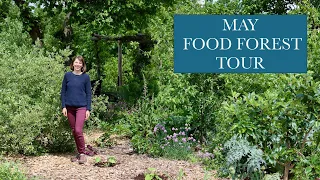 May Tour of our 1/4 acre FOOD FOREST - fruit trees, berries, climbers, herbs and perennial veggies!