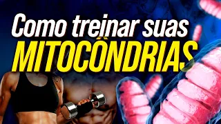 TREINE SUAS MITOCÔNDRIAS | E melhore seu condicionamento, performance esportiva e longevidade.