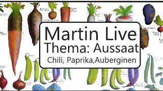 Paprika , Chili und Auberginen Anzucht