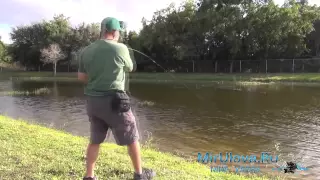 ПРИКОЛЫ НА РЫБАЛКЕ ✔2 ✰ Russian Fishing FAIL