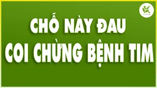 Dấu Hiệu BỆNH TIM AI CŨNG NÊN BIẾT | Cách Bấm Huyệt Tránh Nhồi Máu Cơ Tim | TCL