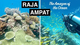 Scuba Diving in Raja Ampat, Indonesia | Breathtaking Underwater Paradise