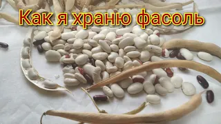 Как хранить фасоль Проверенный способ хранения