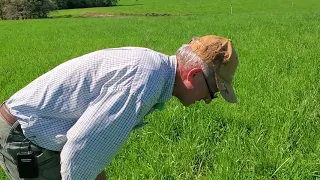 Here is a cheap fix for healing bare soil spots in pastures.