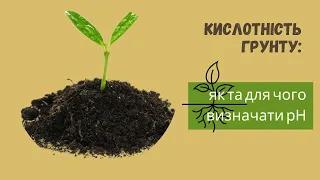 Кислотність грунту: для чого треба знати та як визначити в умовах середньостатистичного города 😉🤭