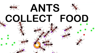 Ants Search For Food Simulation