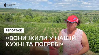 «Вони жили в нашій кухні, у гаражі був склад БК»: жителька Кам'янки повернулася додому