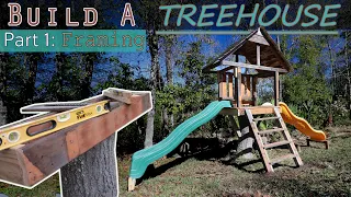 How To Build A Treehouse On A Stump, Part 1 Framing