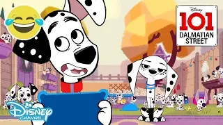 🍕Animals vs Humans - Food | 101 Dalmatian Street | Disney Channel UK