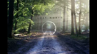 Mike Perry - The Ocean ft. Shy Martin ( Lost North Remix )