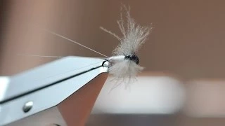 Caenis CDC spent (dry fly)