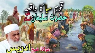 Hazrat Sulaiman a.s ka waqia | qaumi saba LA waqia | Molana sheikh Idrees Sahib poshto bayan