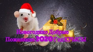 Добрые Новогодние Пожелания 2020. Год Белой Крысы.