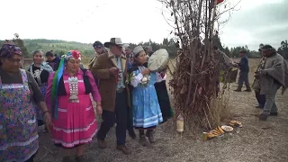 Mapuche: Saving Indigenous Language