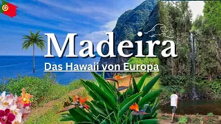 Madeira - Das Hawaii von Europa +Geheimtipp ·Vlog #6