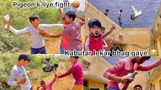 Kabutar k liye ladai 🤬 !! Pigeon snatching from boys 😨