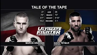 Marcin Wrzosek vs David Teymur